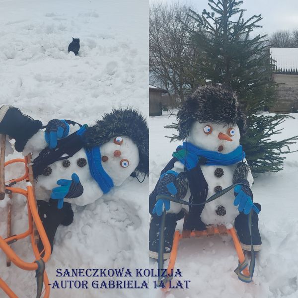 Saneczkowa_kolizja